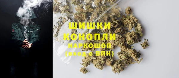 эйфоретик Гусев