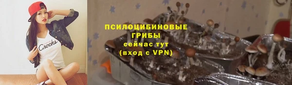 эйфоретик Гусев