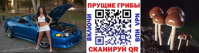 Галлюциногенные грибы Magic Shrooms  Свирск 